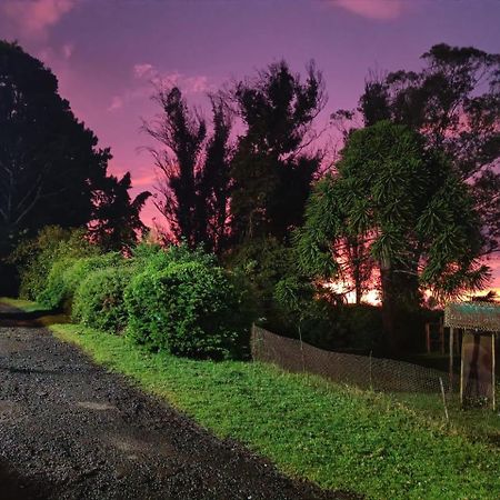 Natures Retreat Hotels And Resorts Udagamandalam Exterior foto
